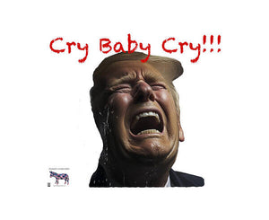 Cry Baby Cry - Art Print